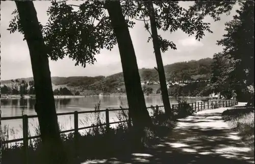 Waldshut-Tiengen Hochrhein Rheinpromenade *