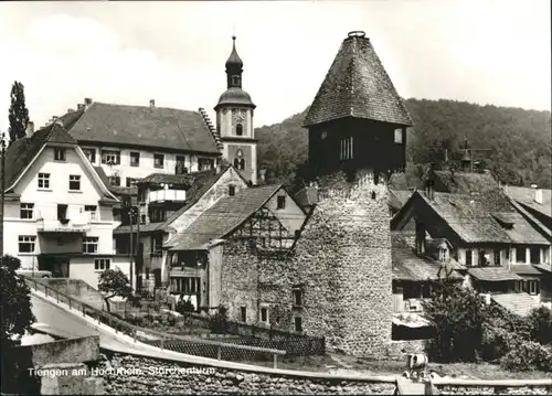 Waldshut-Tiengen Hochrhein Storchenturm *