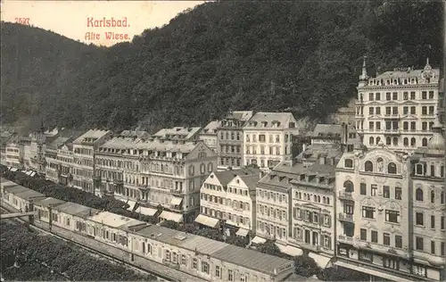 Karlsbad Eger Boehmen Alte Wiese Kat. Karlovy Vary