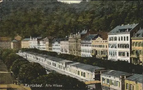 Karlsbad Eger Boehmen Alte Wiese Kat. Karlovy Vary