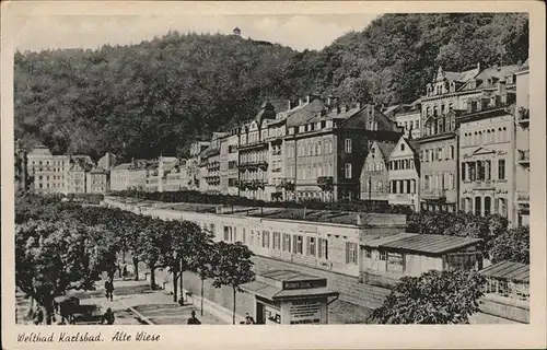 Karlsbad Eger Boehmen Alte Wiese Kat. Karlovy Vary