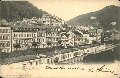 Karlsbad Eger Boehmen Alte Wiese Kat. Karlovy Vary