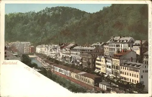 Karlsbad Eger Boehmen Alte Wiese  Kat. Karlovy Vary