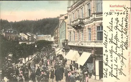 Karlsbad Eger Boehmen Alte Wiese Kat. Karlovy Vary