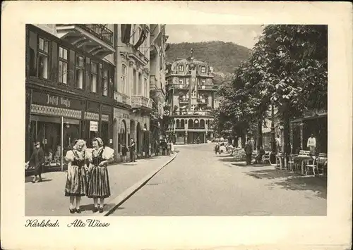 Karlsbad Eger Boehmen Alte Wiese Kat. Karlovy Vary