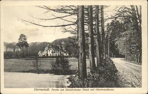 Darmstadt Steinbruecker Teich Oberwaldhaus Kat. Darmstadt