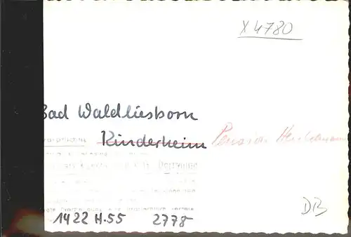 Bad Waldliesborn Pension Henkelmann (Deutsches Haus) Kat. Lippstadt