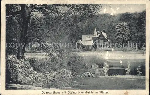 Darmstadt Oberwaldhaus Steinbruecker Teich im Winter Kat. Darmstadt
