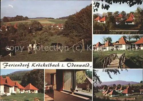 Kroeckelbach Odenwald Teilansichten Feriendorf Viehweide Kuehe Kat. Fuerth