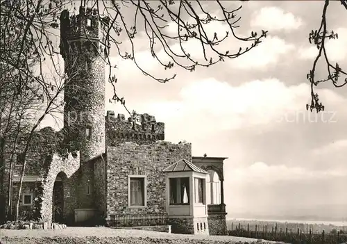 Johannisberg Rheingau Burg Schwarzenstein Wein Ausschank Gaststaette Kat. Geisenheim