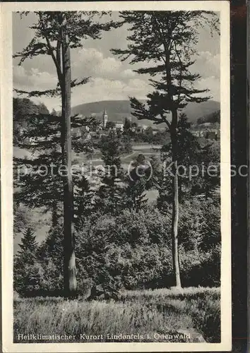 Lindenfels Odenwald Blick vom Wald Hoehenluftkurort "Perle des Odenwaldes" Kat. Lindenfels