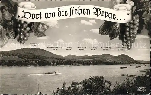 Koenigswinter Blick auf Rhein und Siebengebirge "Dort wo die sieben Berg..." Weinrebe Weintraube Kat. Koenigswinter