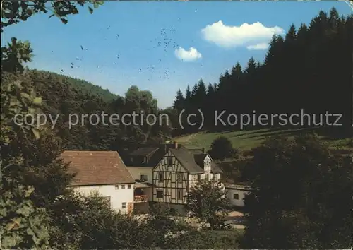 Halsenbach Gasthaus Pension Baunhoefer Muehle Preisbachtal Kat. Halsenbach