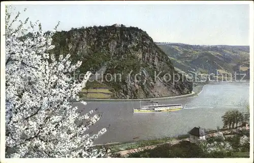 St Goarshausen Rheinschiff an der Loreley Kat. Sankt Goarshausen