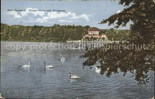 Bad Nauheim Grosser Teich mit Teichhaus Kat. Bad Nauheim