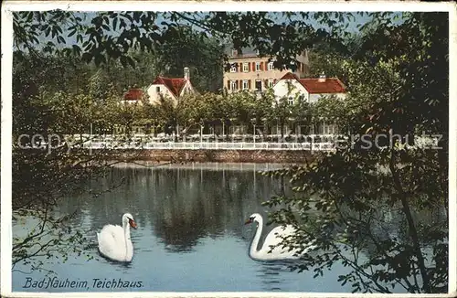 Bad Nauheim Gr Teich mit Teichhaus Kat. Bad Nauheim