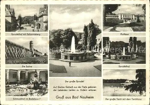 Bad Nauheim Sprudelhof Kurhaus Gr Sprudel Saline Schmuckhof im Badehaus VII Gr Teich mit Teichhaus Kat. Bad Nauheim