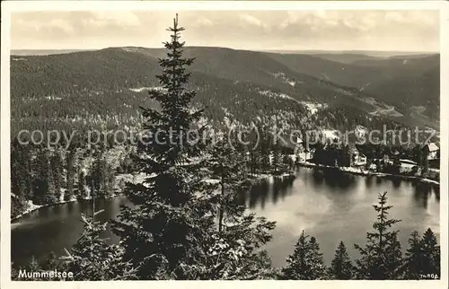 Mummelsee See von oben Kat. Seebach