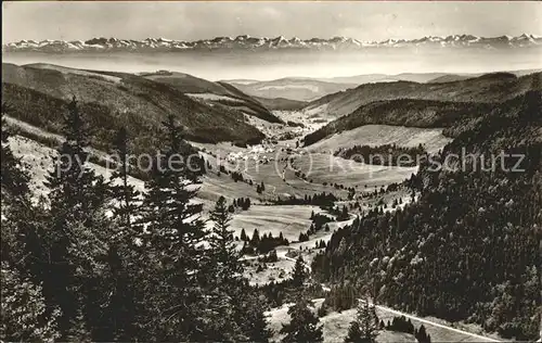 Feldberg Schwarzwald Blick ins Menzenschwandertal mit Alpenkette Kat. Feldberg (Schwarzwald)