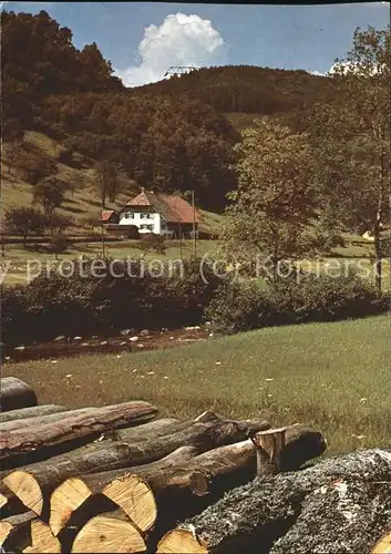 Schoenwald Schwarzwald Im Elztal Kat. Schoenwald im Schwarzwald