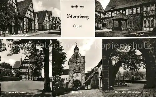 Blomberg Lippe Burghof Altes Amtshaus Petersilienstrasse Niedertor  Kat. Blomberg
