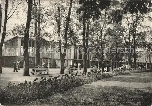 Bad Mergentheim Kurpark mit Albert Quelle Kat. Bad Mergentheim