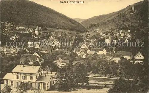 Bad Liebenzell Panorama Feldpost Kat. Bad Liebenzell