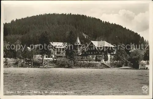 Titisee Seepanorama Schwarzwaldhotel Kat. Titisee Neustadt