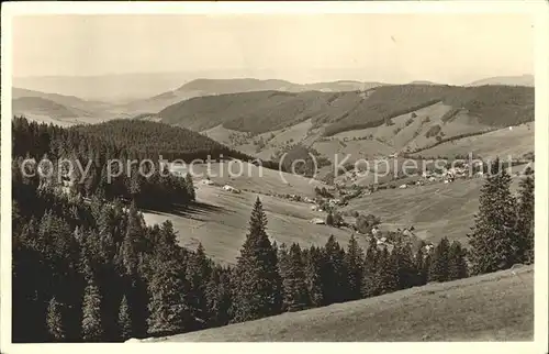 Todtnauberg Panorama Kat. Todtnau