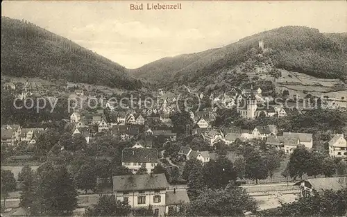 Bad Liebenzell Panorama Feldpost Kat. Bad Liebenzell