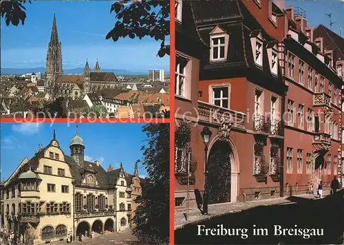 Freiburg Breisgau Muenster Rathaus Haus zum Walfisch Kat. Freiburg im Breisgau