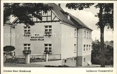 Flammersfeld Pension Haus Waldesruh Kat. Flammersfeld