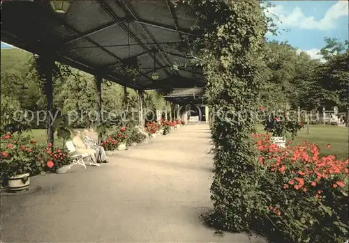 Bad Brueckenau Wandelgang zur Wandelhalle Kat. Bad Brueckenau