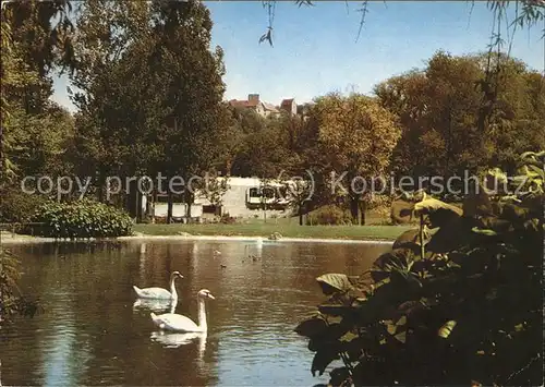 Bad Neustadt Schwanenteich im Kurpark Kat. Bad Neustadt a.d.Saale