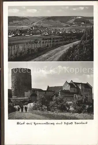 Hammelburg Totalansicht und Schloss Saaleck Kat. Hammelburg