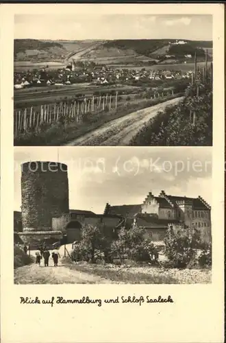 Hammelburg Totalansicht und Schloss Saaleck Kat. Hammelburg