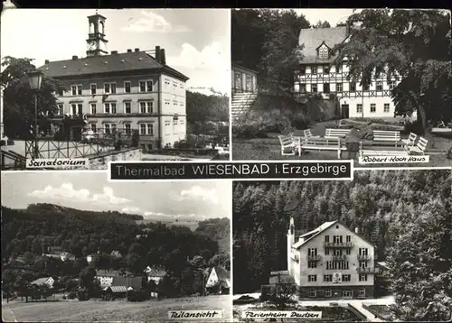 Wiesenbad Sanatorium Rober Koch Haus Teilansicht Ferienheim Deutzen Kat. Thermalbad Wiesenbad