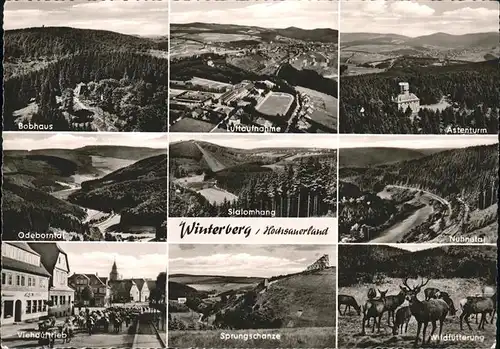Winterberg Hochsauerland Bobhaus Panorama Astenturm Odeborntal Nuhnetal Viehauftrieb Sprungschanze Wildfuetterung Kat. Winterberg