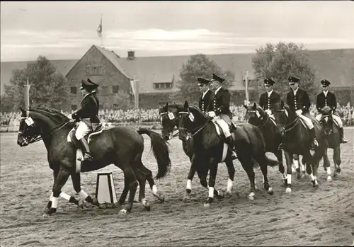 Warendorf Westf Landgestuet Hengstparade Kat. Warendorf