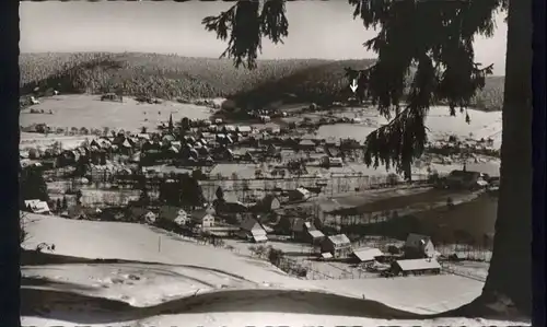 Baiersbronn Erholungsheim Schoenblick *