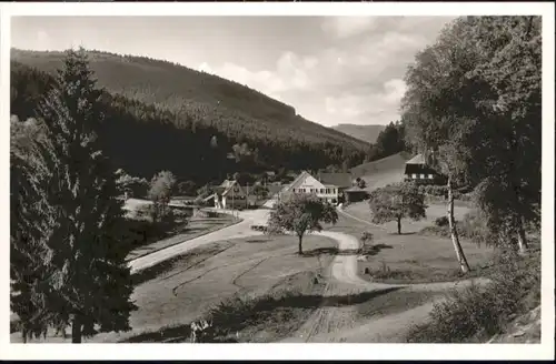 Dobel Wuerttemberg Gasthaus Pension Eyachmuehle *