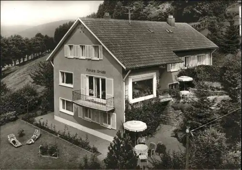 Baiersbronn Haus Ursula *