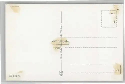 Baiersbronn Koenig Wilhelmturm Rinkenkopf *