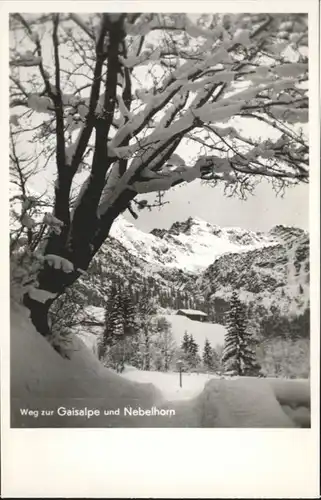 Reichenbach Oberstdorf Gaisalpe Nebelhorn *