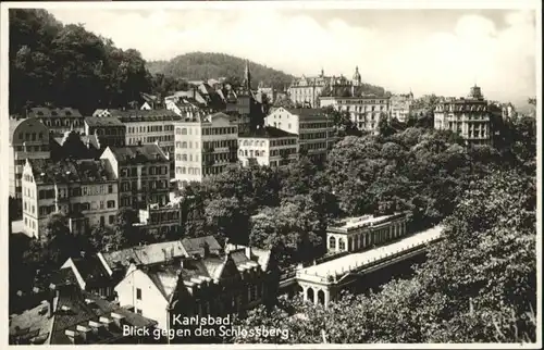 Karlsbad Eger Schlossberg Schlossbrunn *