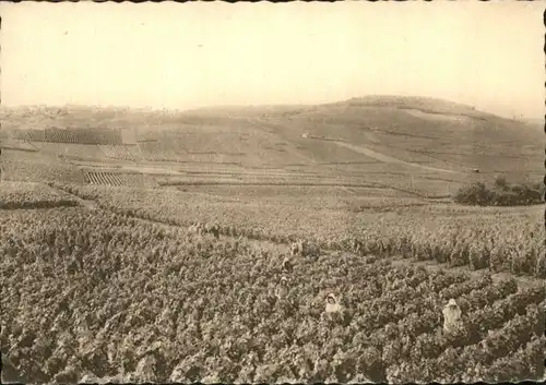 Reims Champagne Pommery & Greno *