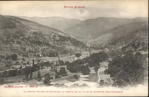 Munster Elsass La petite vallee *