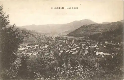 Munster Elsass  *