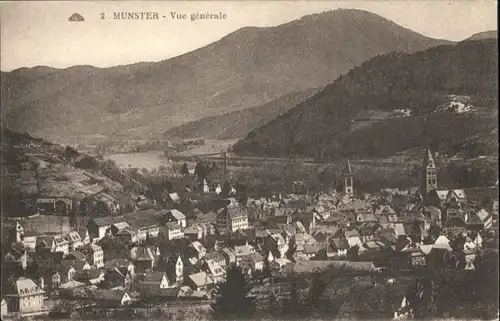 Munster Elsass  *