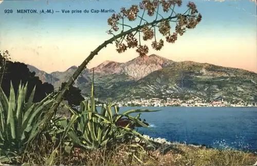 Menton Vue prise Cap Martin x